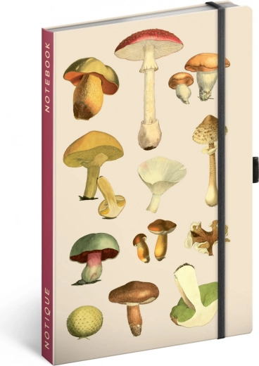 Design mit Pilzillustrationen von Kateřina Winterová