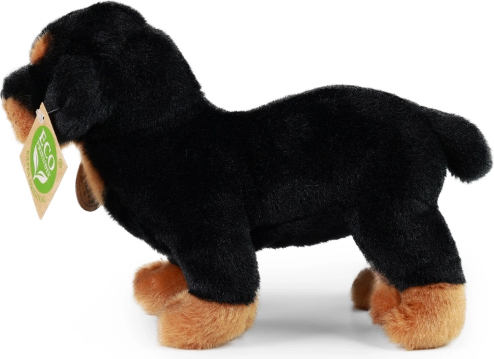 Teil der RAPPA Exclusive Collection