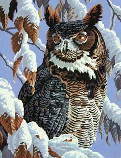 Norimpex Malen nach Zahlen Eule auf verschneitem Ast 40 × 50 cm