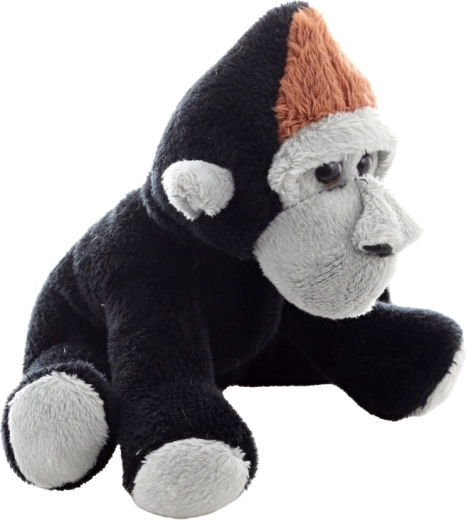 Niedliche Details und freundlicher Ausdruck