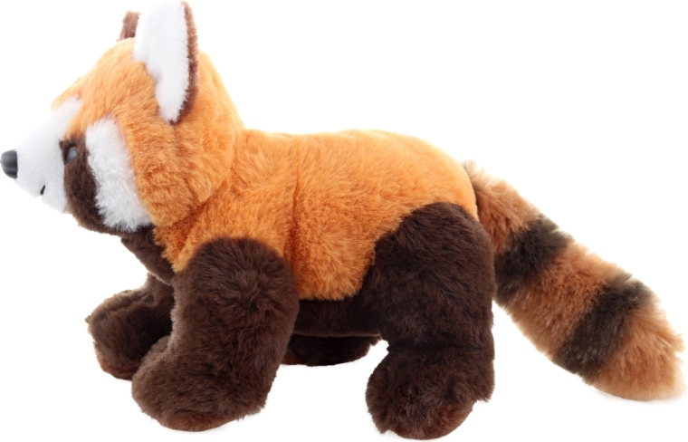 Realistische Details des roten Pandas