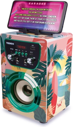 Bluetooth-Verbindung und Karaoke vom Smartphone