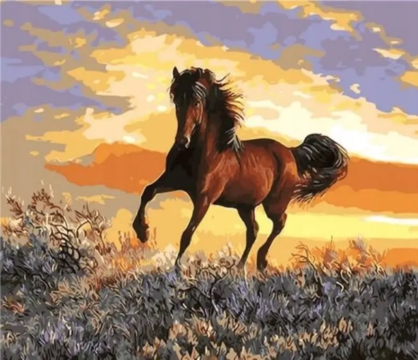 Norimpex Malen nach Zahlen Pferd bei Sonnenuntergang 40 × 50 cm