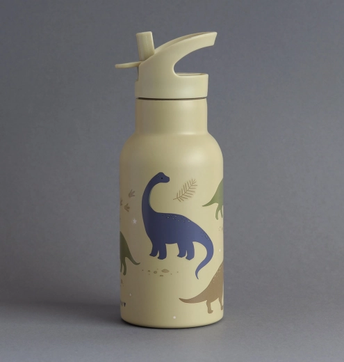 Edelstahl-Trinkflasche mit Dinosaurier-Motiv - 350 ml