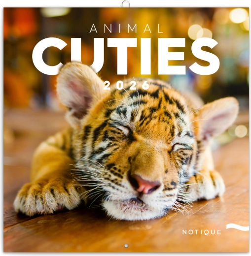 Notizkalender Jungtiere 2026