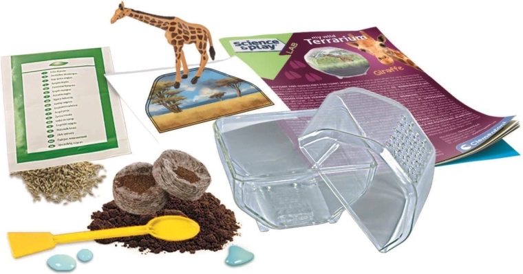 Erschaffen Sie Ihr eigenes Mini-Ökosystem