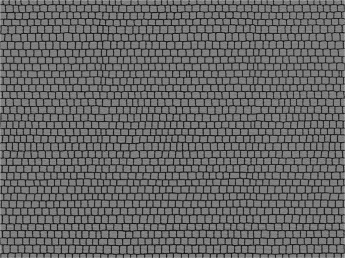 Noch Platzpflaster 22x14 cm Set