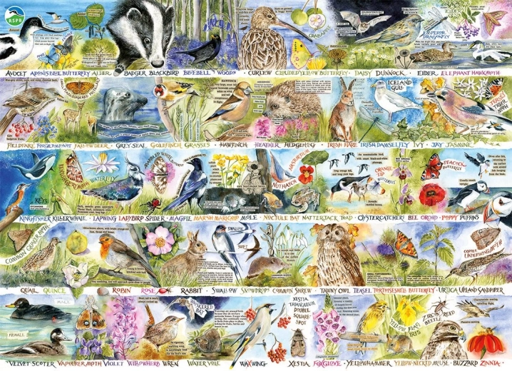 Puzzle GIBSONS RSPB Magie der Frühlingsnatur 1000 Teile