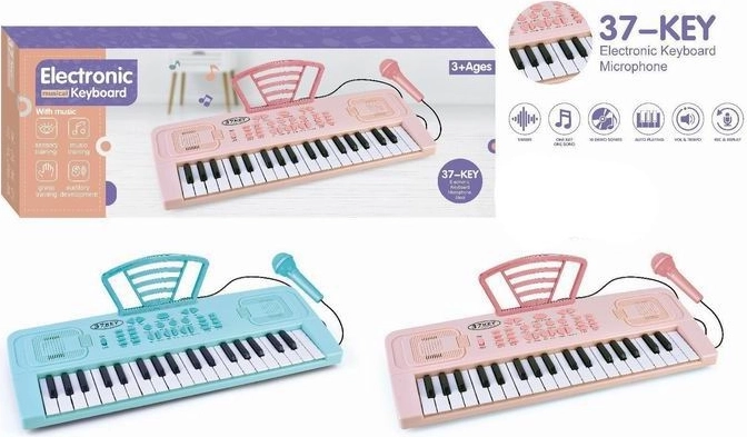 Elektronische Orgel mit Mikrofon, 37 Tasten