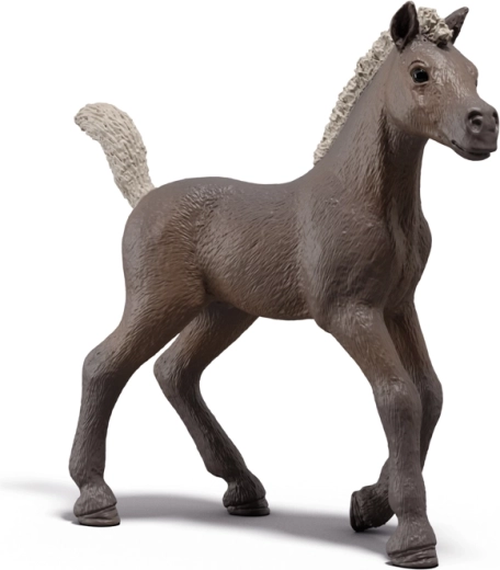 Sammler-Fohlen Darcy SCHLEICH Horse Club – limitierte Edition