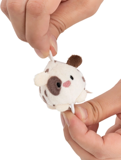 Mini-Maße, Maxi-Niedlichkeit