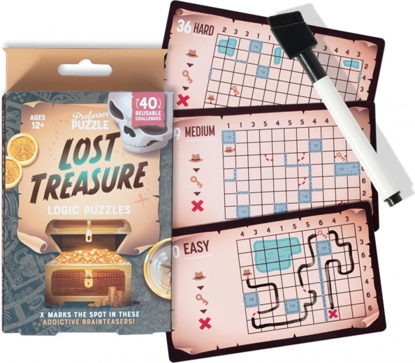 Professor Puzzle Logikspiel Lost Treasure – Rätselset für unterwegs