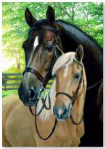 Diamantmalerei (Diamond Painting) Pferde 30 × 40 cm