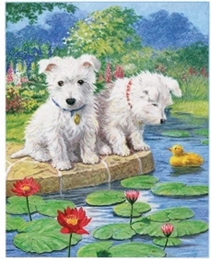 Norimpex Malen nach Zahlen Malteserhunde am See 40 × 50 cm