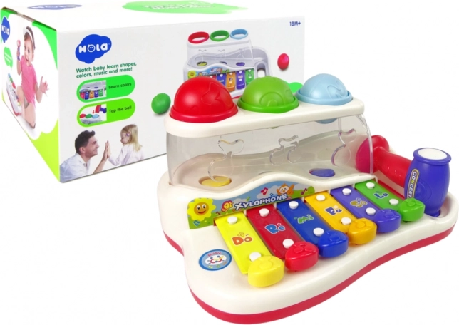 Didaktisches Xylophon für Kleinkinder mit Hammer und bunten Bällen