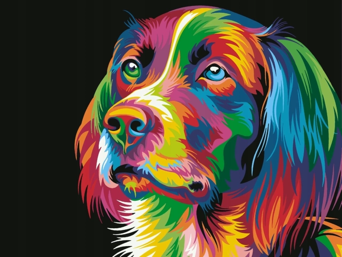 Norimpex Malen nach Zahlen Bunter Hund 40 × 50 cm