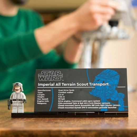 Sammler-Display mit Namensschild und Minifigur