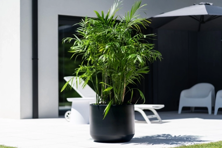 Robustes Material für draußen und drinnen