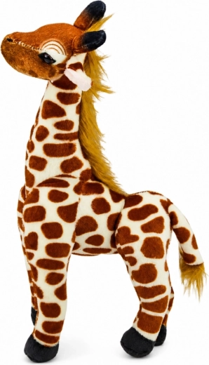 Realistische Details der Giraffe