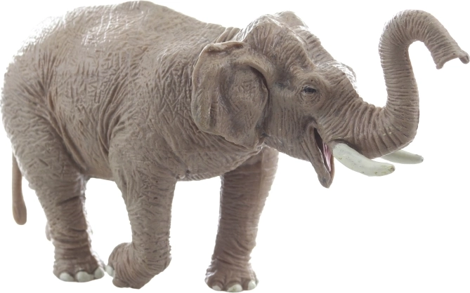 Robuste und stabile Konstruktion