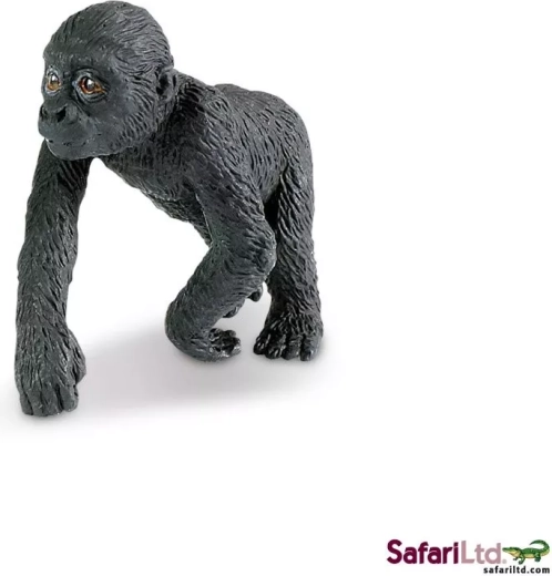 Flachlandgorilla-Jungtier