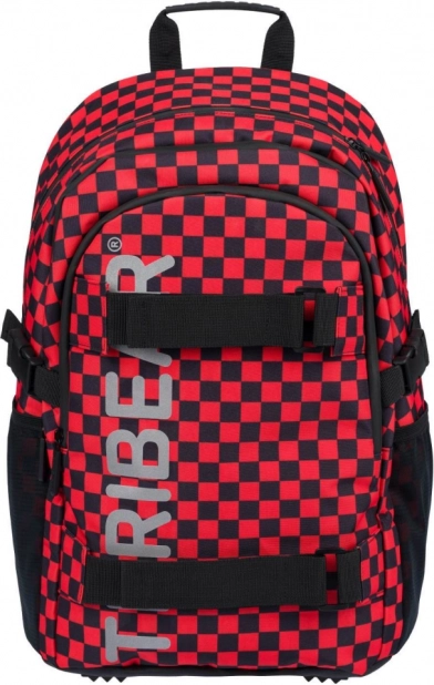 BAAGL Schulrucksack Skate TERIBEAR