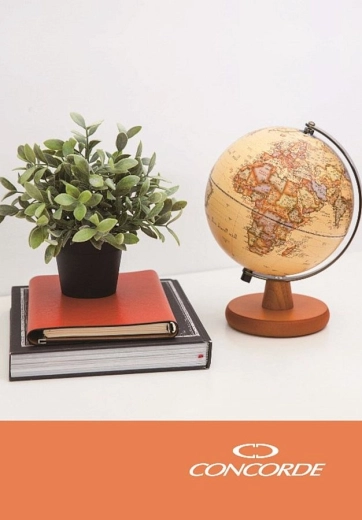 Notizbuch A5 kariert, 100 Blatt CONCORDE