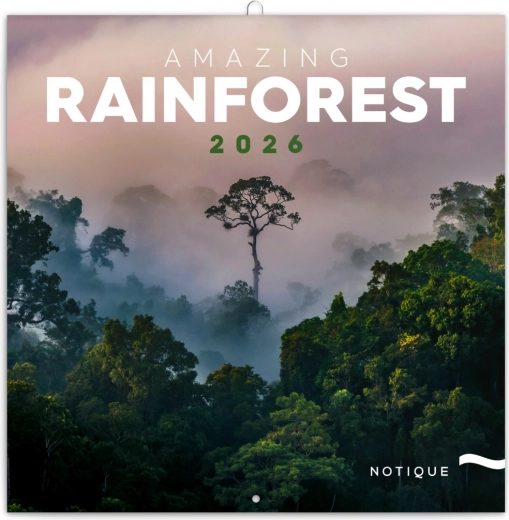 Notizkalender Regenwälder 2026