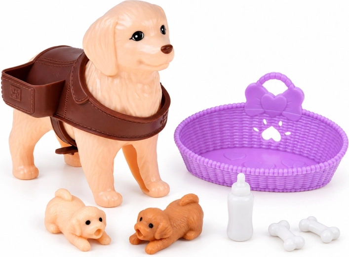 Zubehör zur Pflege der Hundefamilie