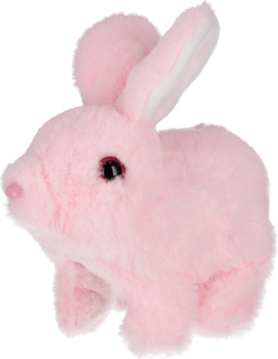 Weicher Plüsch, der zum Kuscheln einlädt