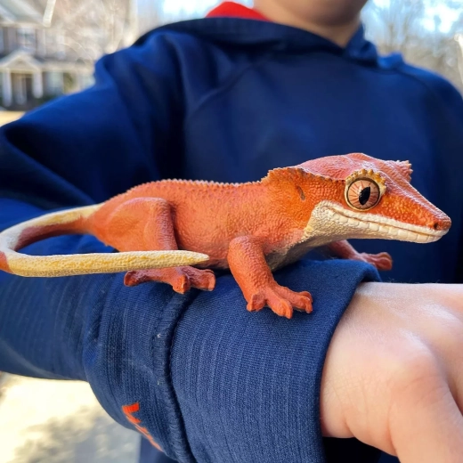 Maßstab 1:1 – wie ein echter Gecko