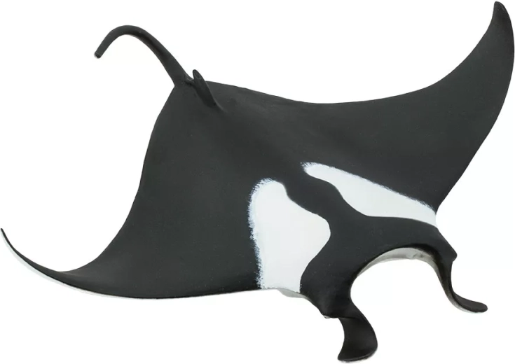 Safari Ltd. Riesenmanta (Figur) - 1 Stück