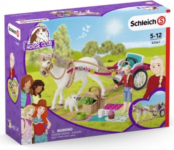 Wagen für die große Pferdeschau