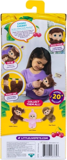 Little Live Pets interaktives Mini-Äffchen Chikki Cherry
