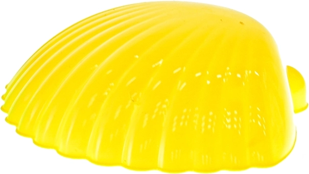 Realistische Abdrücke mit Muschel-Förmchen