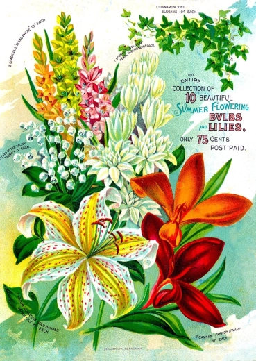 Enjoy Puzzle Vintage-Blumenkatalog 1000 Teile
