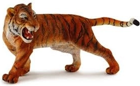 Sibirischer Tiger