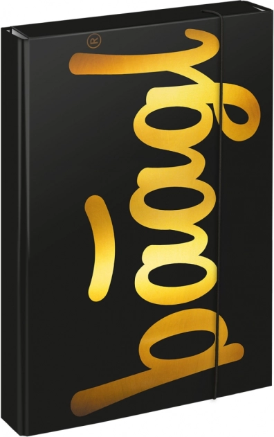 Mappen für Schulhefte A4 Jumbo Gold