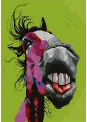 Norimpex Malen nach Zahlen Crazy Horse 40 × 50 cm
