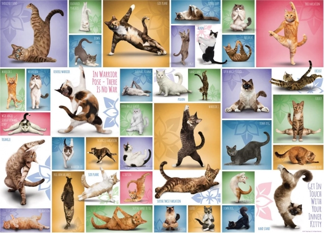 Puzzle Katzenyoga 1000 Teile