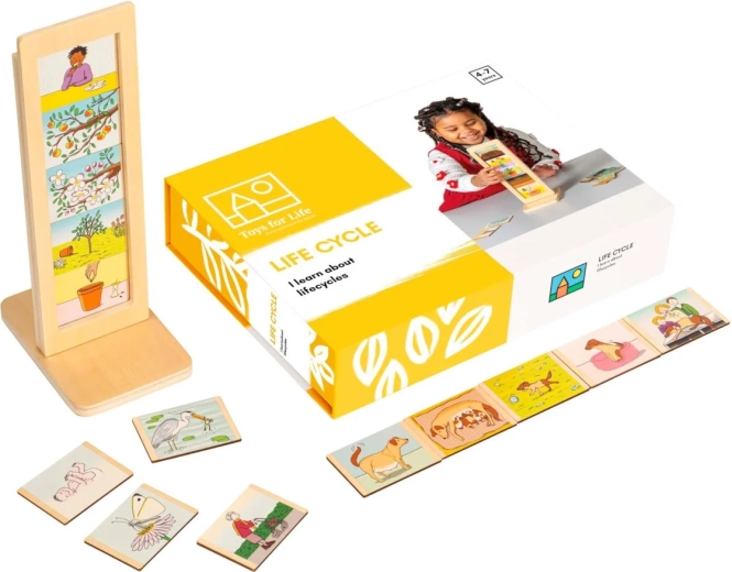 Toys for Life Lebenszyklen – Lernset mit Karten