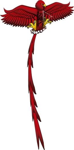 Fliegender Drache Pop Up 3D