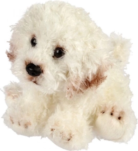 Plüschhund Bichon 13 cm