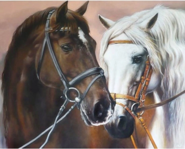 Norimpex Malen nach Zahlen, sich umarmende Pferde, 40 × 50 cm