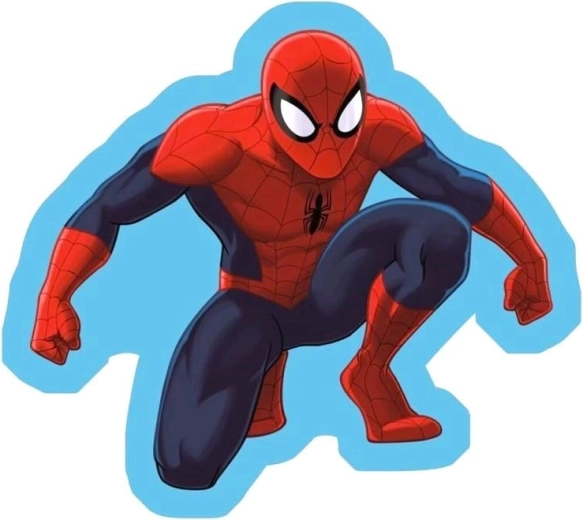 Spiderman-Kissen 35 × 35 cm - 1 Stück