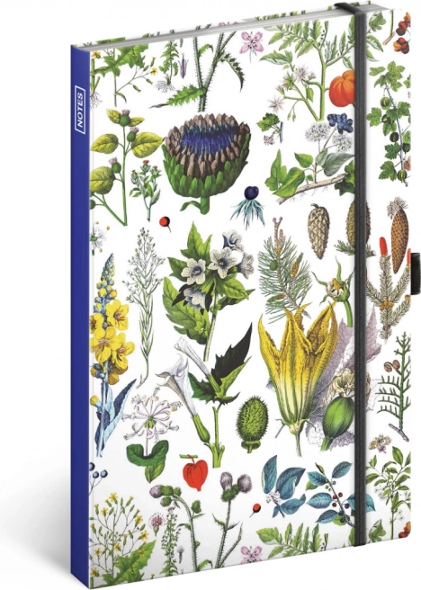 Notizbuch Kräuter von Kateřina Winterová, liniert, 13 × 21 cm