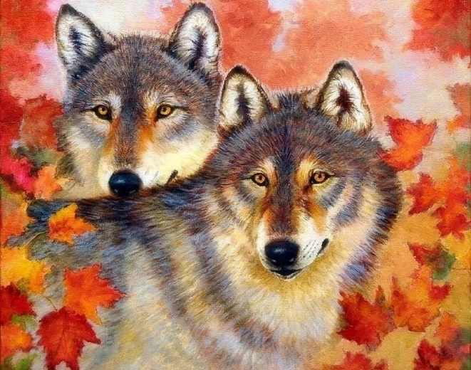Norimpex Malen nach Zahlen Wolf und Wölfin 40 × 50 cm