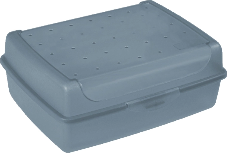 Luca Click Box MIDI Kunststoffdose mit Deckel 1 l, blau