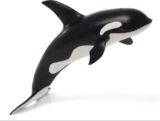 Mojo Deluxe Schwertwal