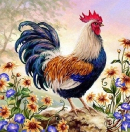 Norimpex Malen nach Zahlen Hahn in Blumen 40 × 50 cm